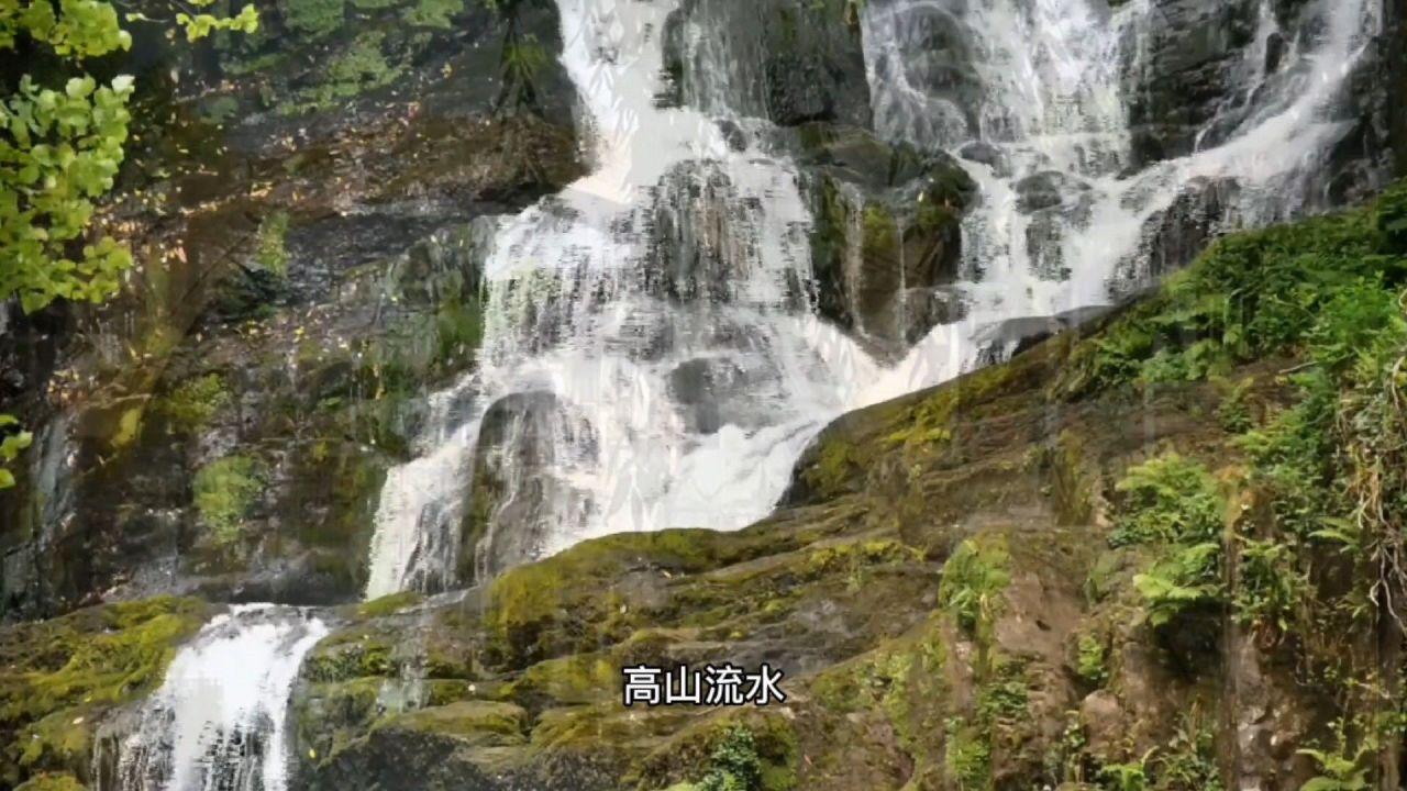 方盛股份将于2月8日召开股东大会，共审议8项议案